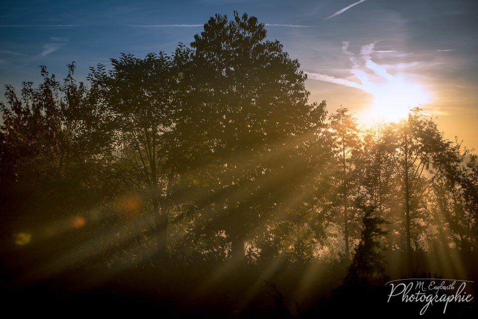 Noch ein schnelles Foto heute Abend: Herbstlicher …
