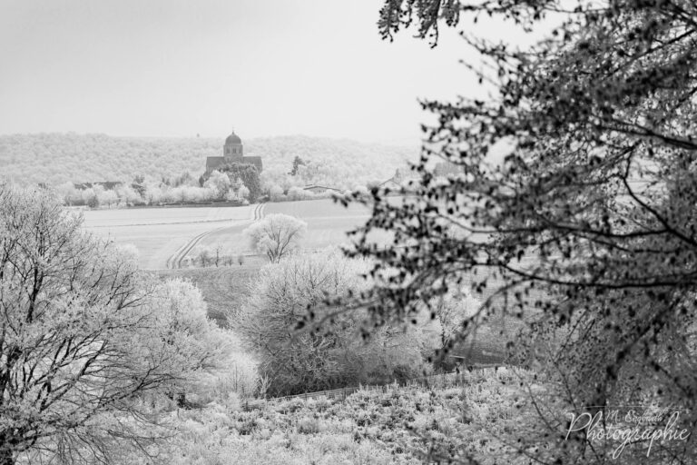 Heute mal das tolle Wetter genutzt um ein paar Fotos in …
