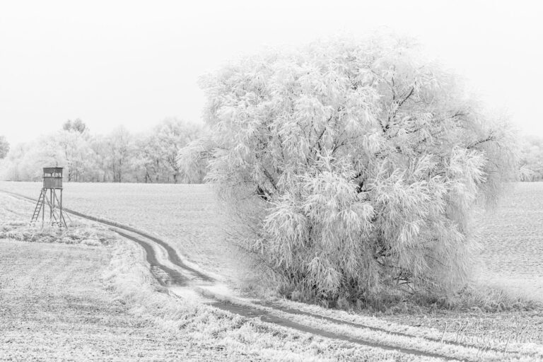 Heute mal das tolle Wetter genutzt um ein paar Fotos in …