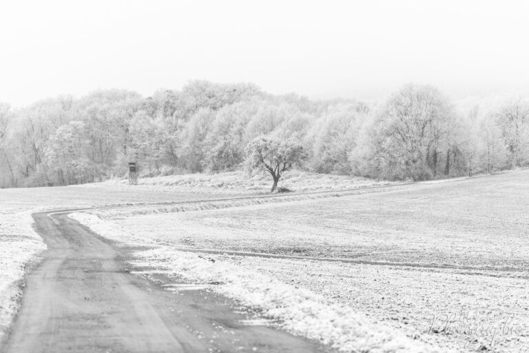 Heute mal das tolle Wetter genutzt um ein paar Fotos in …