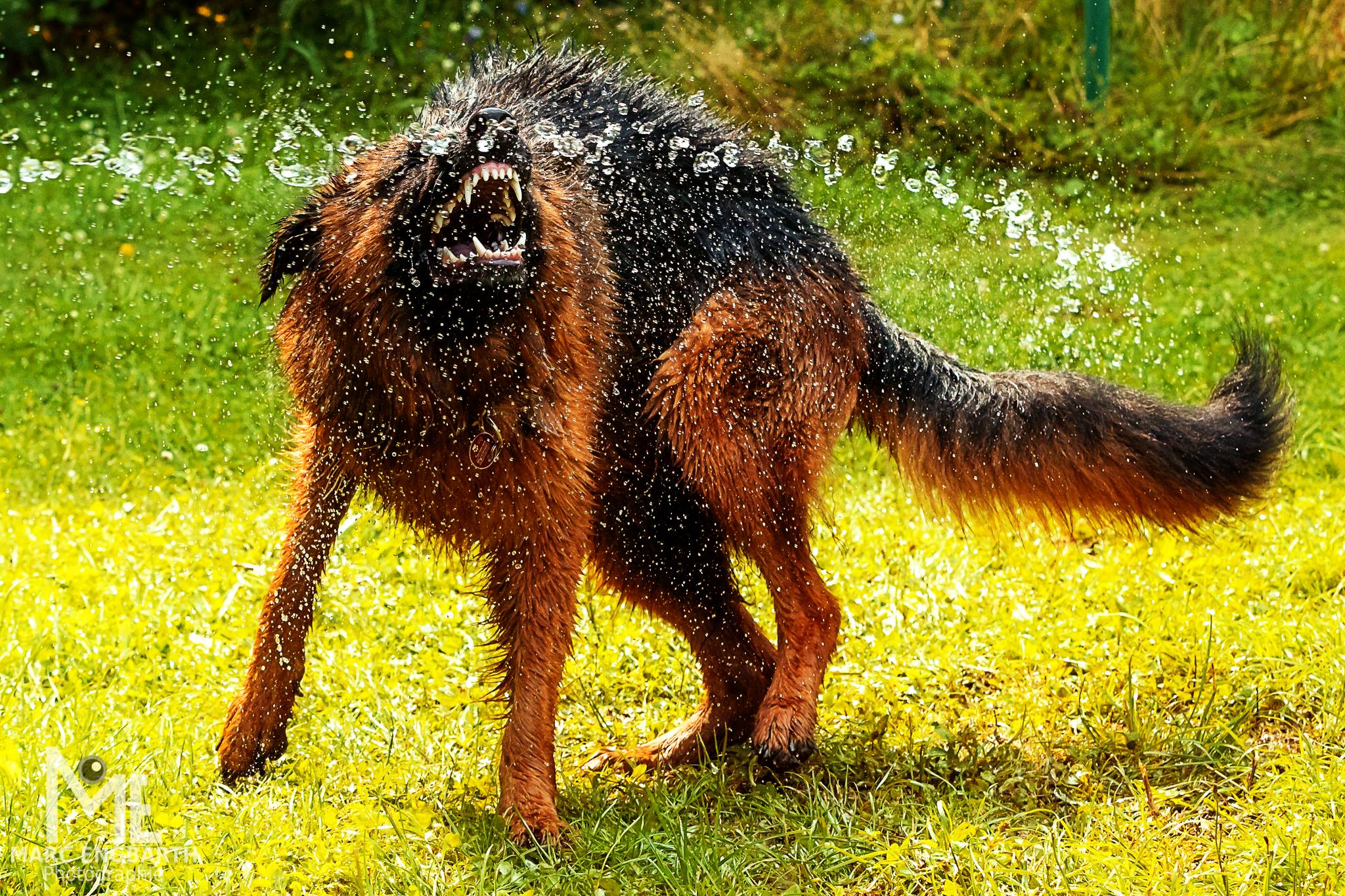 Zwei Fotos aus dem letzten Sommer