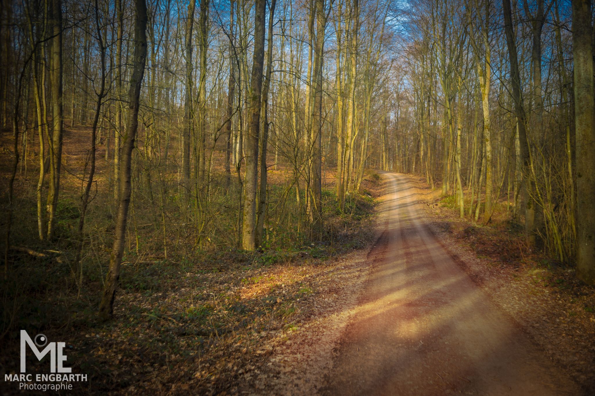 Mal wieder ein Waldbild, hier mit einem manuellen …