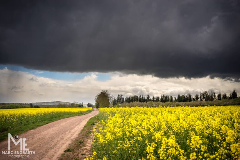 Tolles Wetter für interessante Landschaftsbilder