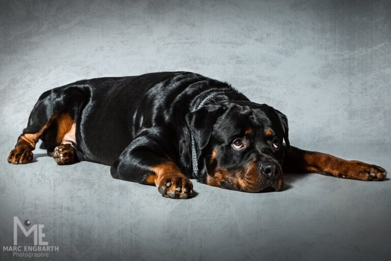 Bisher habe ich hier noch nie Fotos aus Kundenshootings …