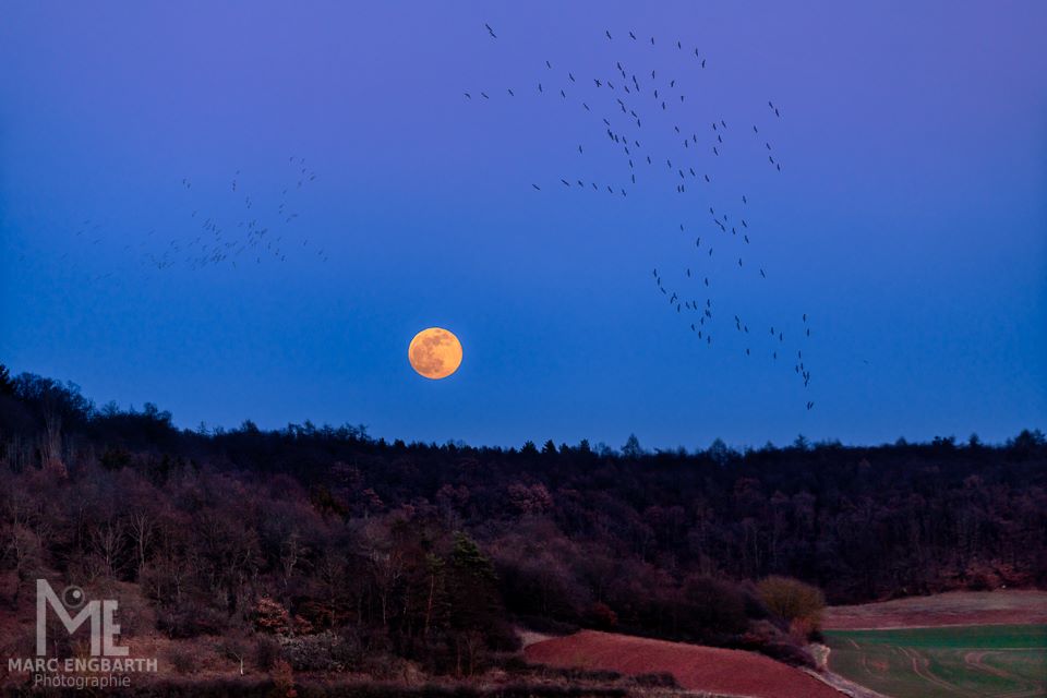 Kleiner Beitrag zum Supermond am Dienstag und da sogar so …