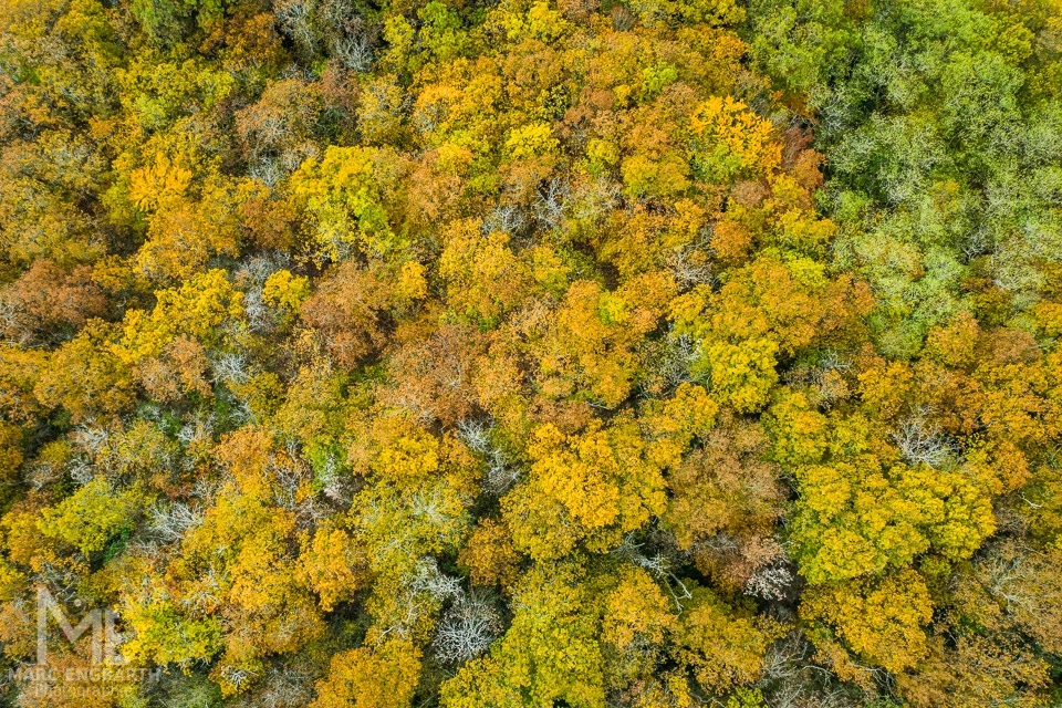 * Herbstfarben * Schön, wenn sich der Nebel verzieht und …