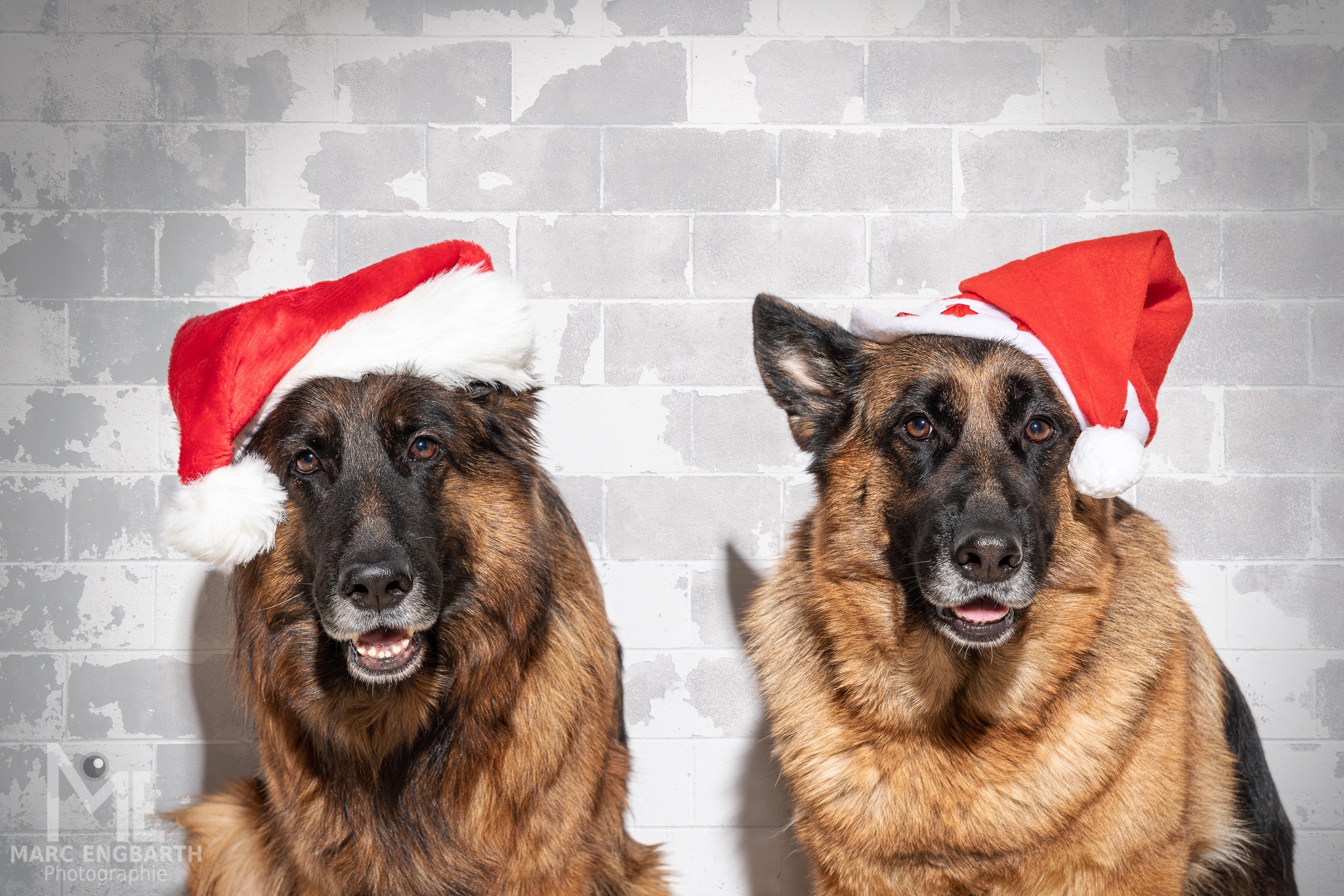 Schönen Nikolaustag euch allen!