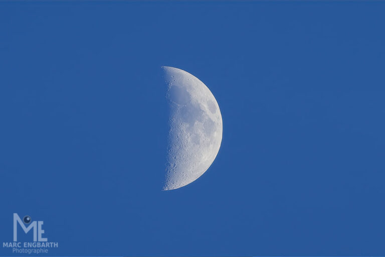 Vorne Störche und hinten hing der Mond, auf jeden Fall …