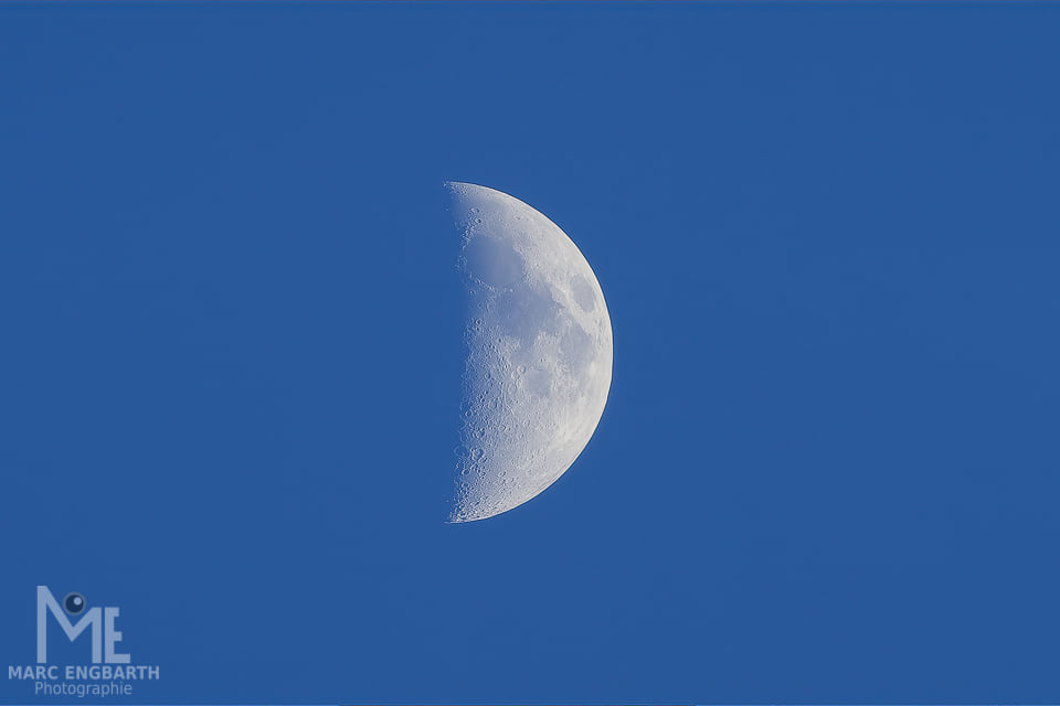 Vorne Störche und hinten hing der Mond, auf jeden Fall …