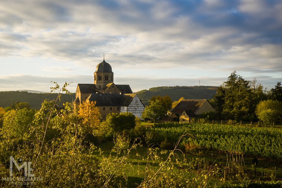 Heimatfoto - Da wir heute morgen so ein tolles Licht …
