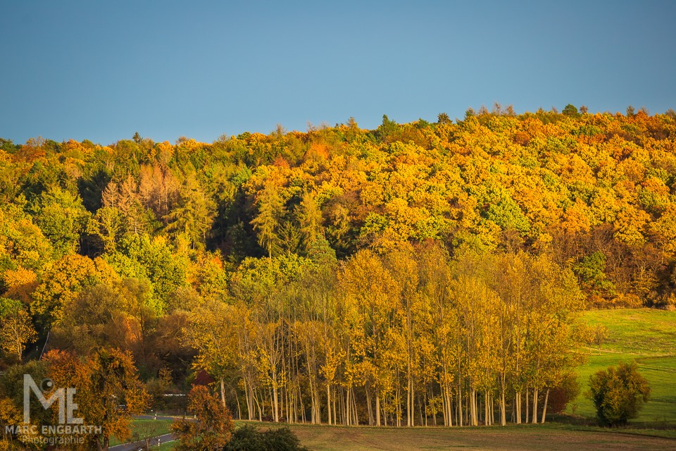 Herbstsonne Equipment: - Canon EOS 5D Mark III - Canon EF …