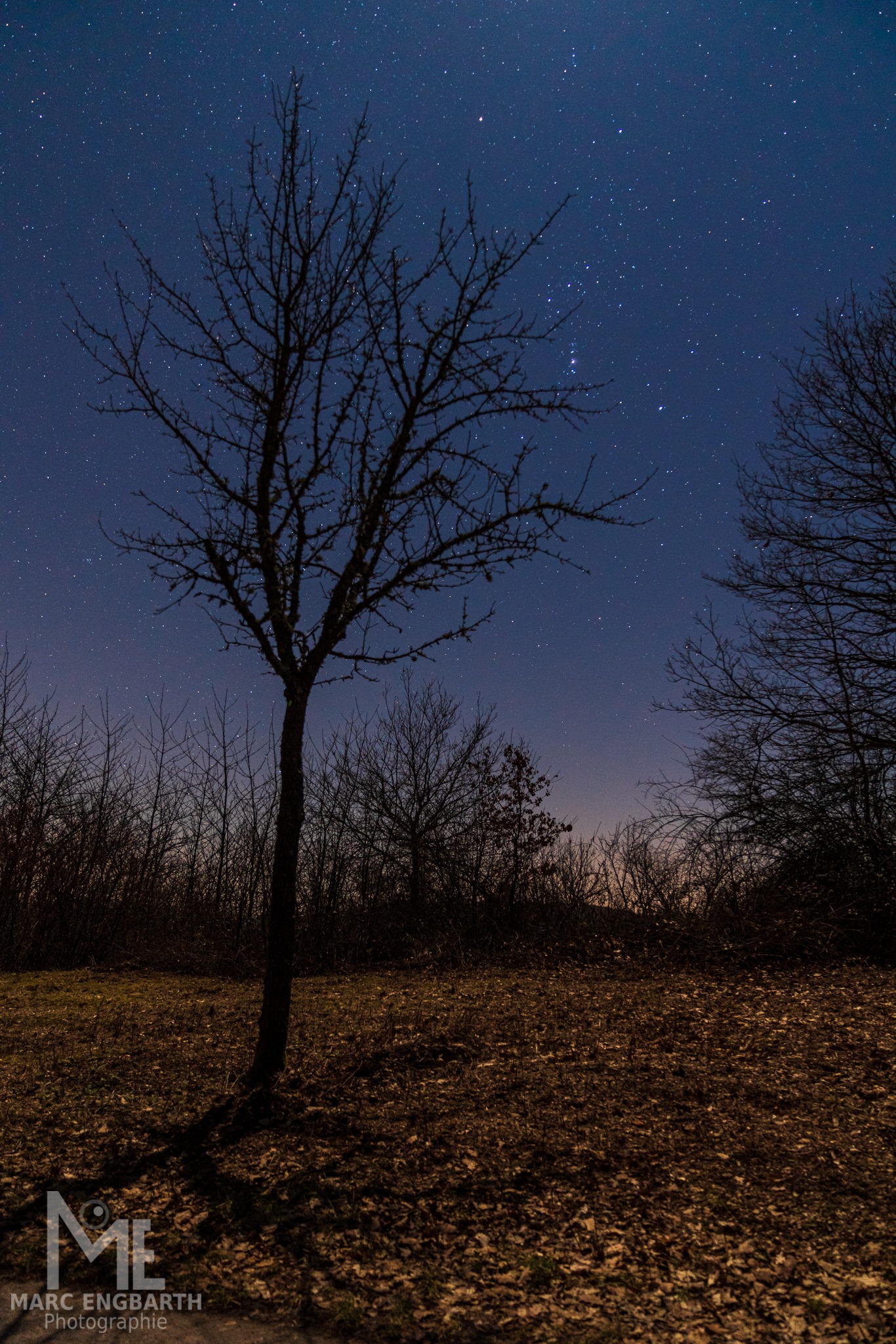 Fotografieren im Mondlicht Gestern Abend war es so schön …