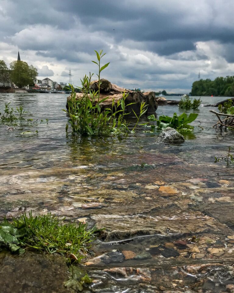 Leichte Unwetterstimmung am Rhein, manchmal sind auch …