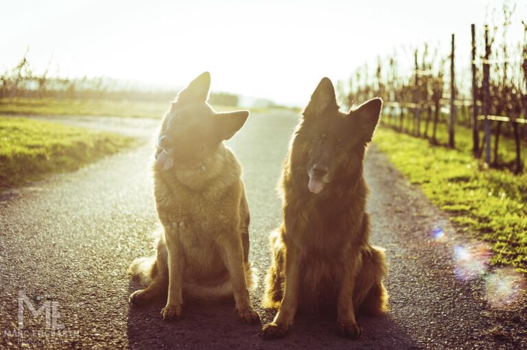 Heute stand ein kleiner Neujahrsspaziergang auf dem …