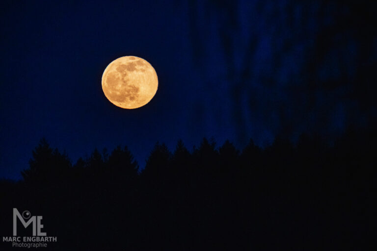 Einfach mal den aufgehenden Vollmond freihand mit 600mm …