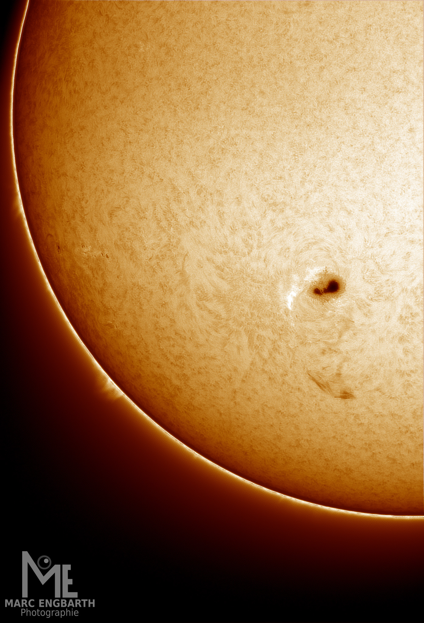 Unsere Sonne von heute (11.07.2023) Schön zu sehen ist …