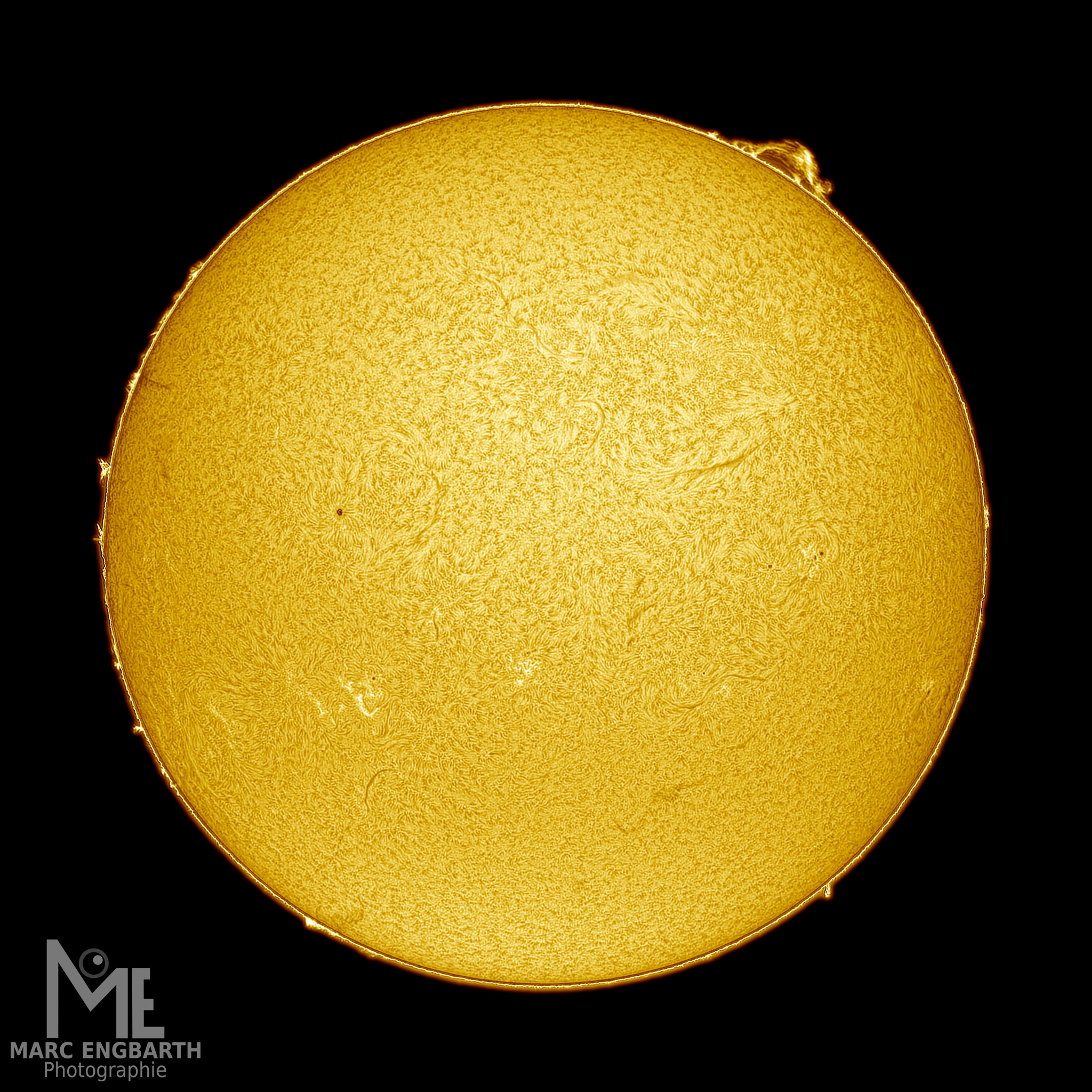 Die Sonne vom 28.04.2025 mit schönen Protuberanzen