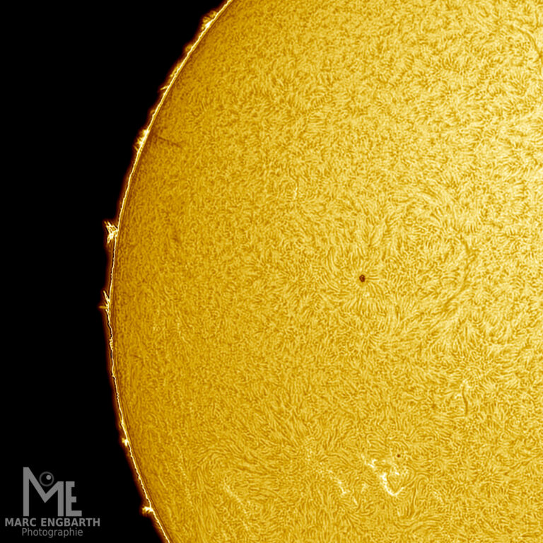 Die Sonne vom 28.04.2025 mit schönen Protuberanzen