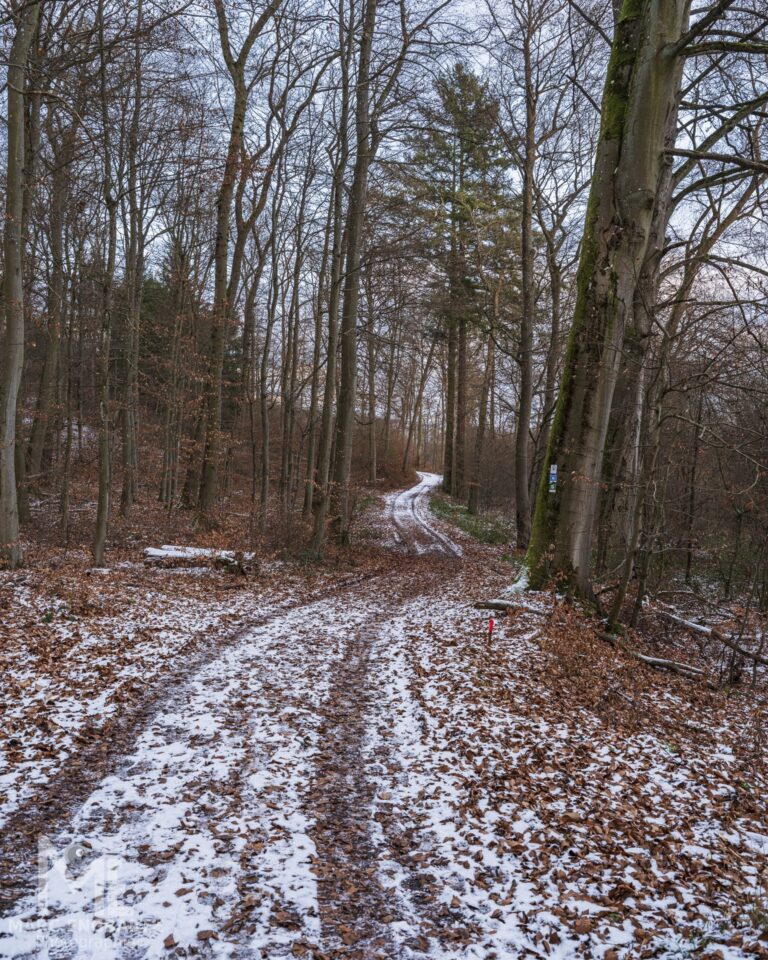 Einfach mal mit der Kamera unterwegs