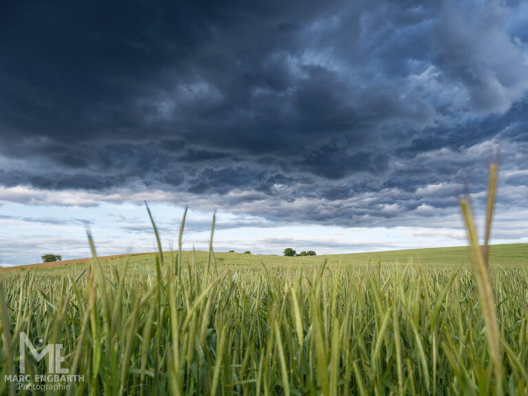 Wenn der Himmel grollt